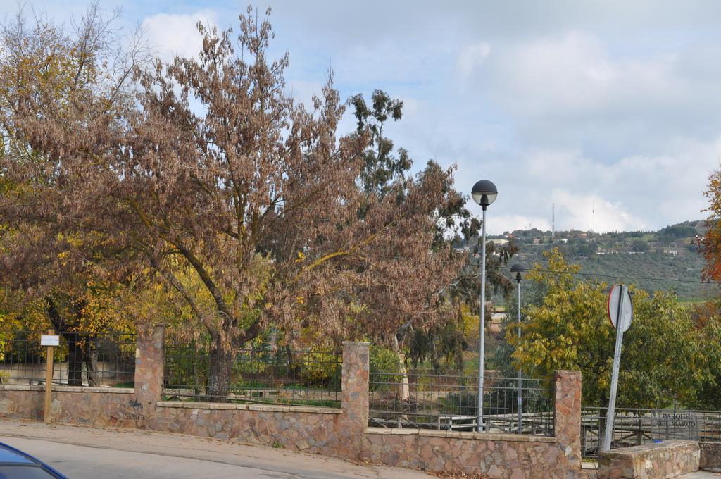 Apartamento Turístico La Ribera del Marco Caces Habitación foto
